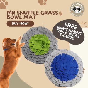 [SG] MR. SNUFFLE GRASS BOWL MAT FREE Training e-Guide Worth $7  Enrichment  SG Stock  Kopi Lobang
