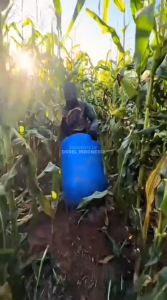 OSSEL Mesin Pemipil Jagung Pipil Jagung Dinamo Listrik Tembaga OS-PJ200 OSSEL