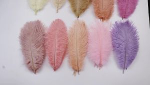 Wholesale 100PCS Red Color Ostrich Feather 25-30CM for Wedding Party Table Centerpieces Decoration Props Carnival Plumes Decor