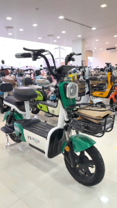 9Thunders_EV จักรยานไฟฟ้า รถจักรยานไฟฟ้า จักรยานไฟฟ้าผู้ใหญ่ electric bike 48V12Ah 350W