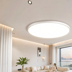 smeou | Modern Minimalist Ceiling Light Whole House Package