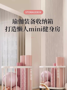 WE 4193 = 多功能收纳筐 Multifunctional Storage Basket Ready stock in Malaysia