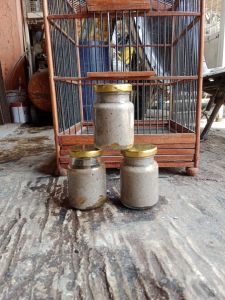 pulut burung racikan