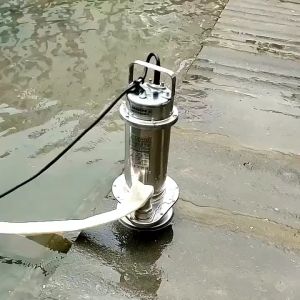 220V 60Hz Stainless Steel Cutting Sewage Pump Submersible Shallow Well Dirty Water Pump 1" Outlet All-Copper Motor with Automatic Float Switch High Lift Large Flow