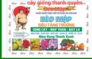 Phân bón lá BÉO MẬP siêu tăng trưởng
