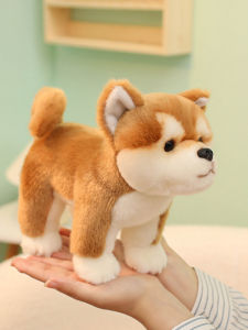 Đồ Chơi Chó Akita Inosuke Màu Vàng Bằng Vải Nhung PP Cao Cấp Cho Trẻ Em Và Người Lớn Đồ Chơi Chó Bằng Vải Nhung PP