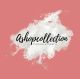 Ashopcollection