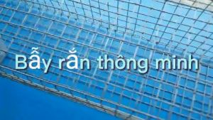 Lồng bẫy rắn thông minh