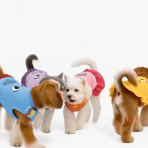 PAWS IT Pet Cat Clothes Dog Dress The Little Pony Dog Sando