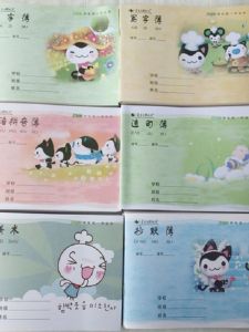 Mary Chinese Pinyin Exercise Book Square Frame Exercise Book Flip Low Grade One Primary School Student Pinyin Practice Math Writing Book