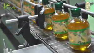 TOP SALES Olivie Plus 30x Olive House Pati Minyak Zaitun Premium (Premium Quality Extra Virgin Olive Oil) 250ml ~ FREEGIFT pilihan