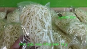 Giấy rơm giấy vụn lót hộp quà 20g