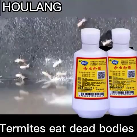 🐜100% ant killing rate🐜Termite killer ant killer 40g Infectious death