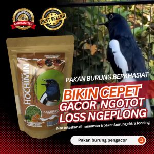 pakan burung spesial kacer poci dll tambah stamina rajin berkicau 250g