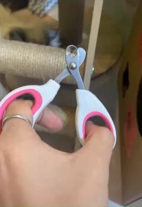 Cat Bloodline Nail Clipper Pet Stainless Steel Grooming Tool Scissor Cutter Ketip Kuku Kucing Pemotong Pengepit猫指甲剪宠物指甲剪