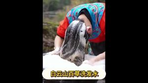 【正品】白云山百草洗发水首乌黑灵芝天然滋养发根控油蓬松老牌子【 Authentic 】 Baiyunshan Baicao Shampoo Shouwu Black Ganoderma Natural Nourishing Hair Roots Oil Control Fluffy Old Brand