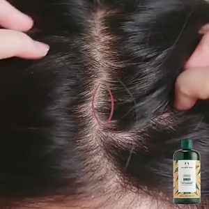 Ginger shampoo hair growth shampoo anti-hair loss refreshing oil control hair grower shampoo 400ml