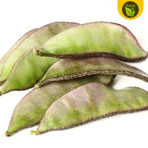 Good Quality BATAW Hyacinth Beans Seeds binhi ng gulay pantanim