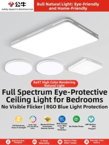 Bull | Subsidized New Design Living Room Ceiling Light
