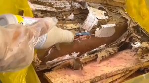 Combo diệt mối sinh học PMC: 2 Hộp nhử mối + 1 lọ diệt mối PMC 90 thuốc mối bột hồng/ thuốc diệt mối tận gốc