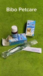 Gel dinh dưỡng cho chó Gastro gel hỗ trợ tiêu hóa hồi phục nhanh tăng sức đề kháng kích thích cún thèm ăn lọ 30ml - bibopetcare