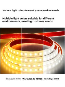 RUILUO | Waterproof LED Strip for Aquarium and Outdoor Fish Ponds 24V IP68