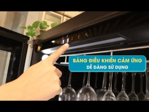 Tủ bảo quản rượu âm tủ Malloca MWC24CP dung tích 56L thiết kế mặt kính đen sang trọng