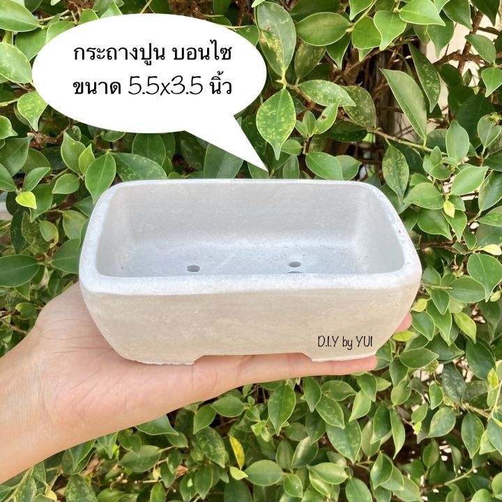 กระถางบอนไซปูนเปลือย ขนาดเล็ก มีรูระบายน้ำ