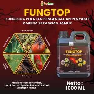 Fungisida Topfarm / Obat Jamur Akar Untuk Cabe / Obat Jamur Akar Tanaman / Obat Jamur Akar Putih / Obat Jamur Akar Tomat Terong / Obat Jamur Akar Tanaman Cabe/ Obat Jamur Akar Cabe / Obat Fungisida Terbaik Untuk Tanaman