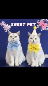 Pet Party Decoration Set Cat Dog Birthday Hats Dog Collar Cute Headband Adjustable Bow Tie Pet Birthday Decoration Supplies