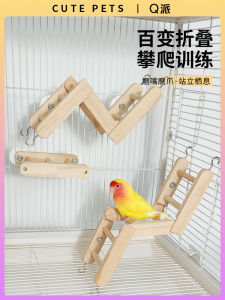 Parrot Ladder Stand Rod Adjustable Multi-Purpose Foldable Ladder Xuanfeng Peony Tiger Skin Special Pet Supplies Toys