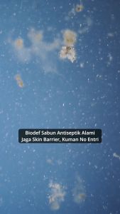 Biodef Natural Protection Mint - Green Tea Body Wash Refill 400 ml  Sabun Mandi Cair Antiseptik Aman dan Halal  Sabun Mandi Melembabkan Sabun Mandi Cair Whitening Untuk Meredakan Jerawat Punggung Back Acne dan Minyak Pada Kulit