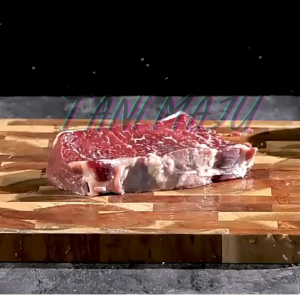 TANI MAJU / Pisau Sembelih Tahan Karat untuk Ikan dan Ayam A043