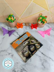 Odd and Even with Otters