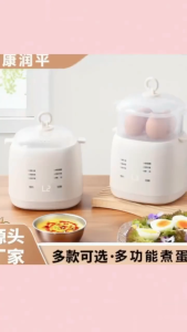 Electric Egg Boiler Egg Cooker 200W 4 Egg Boiler Capacity Automatic Quickly Cooked Multifunctional Egg Steame 煮蛋器早餐机