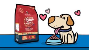 เคลลี่แอนด์โค - รอว์มิกซ์ สุนัข 2.72 kg อาหารสุนัขเกรนฟรี เคลือบฟรีซด ไม่มีธัญพืชและสัตว์ปีก ลดอาการแพ้อาหาร