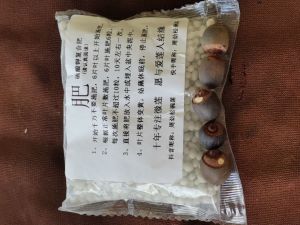 (Ready stock)Small lotus seeds. Small bowl lotus seeds.小型蓮花种子。小型碗莲种子。