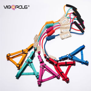 No-Pull Dog Leash Vest Style Small Dog Breeds Pomeranian Bichon Nylon Material Comfortable Handle Walking Dog Leash