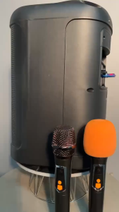BTS-2101 BRODU 8 Inches Bluetooth Speaker KTV Professional Sound Source with 2 Rechargeable Wireless Mic