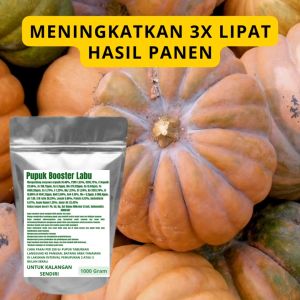 Pupuk Booster Labu Pelebat Organik Cepat Berbuah Lebat Besar Anti Rontok Pembesar Labu