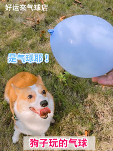 Thickened Latex Balloons Colorful Dog Toys for Walking And Exercising Dogs Doggies Balloons Easy to Inflatable round Shape Balloons