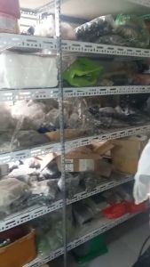 chống cắm nhầm điện 20A không có còi báo  chống cắm nhầm điện