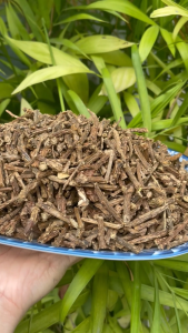 [Hàng loại 1] Dây ký ninh (dây thần thông) khô 1kg - Thảo Dược Tấn Phát - Hỗ trợ cải thi.ện s.ức xư.ơng khớ.p