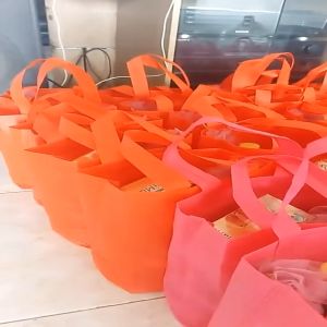 1 Lusin isi 12 pcs Tas Jinjing Kain Spunbond Goodie Bag Handle Box / Kotak Ukuran Jumbo Besar XL 35x45x12 Untuk Shopping Kantong Belanja Lipat Serbaguna Bingkisan paper bag Hampers parcel sembako Hantaran Goodybag Souvenir Hantaran Hajatan Pernikahan