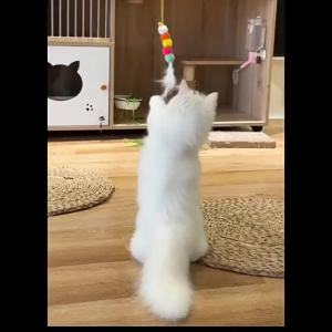 Simulation Cat Toy Cat Scratching Rope Feather Funny Kitten Playing Game Interactive Toy Retractable Hanging Door Pet Supplies