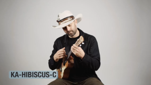 Kala Voyage Collection Ukulele (Hibiscus) with gigbag - 3 sizes