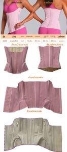 ถุงน่องยางพารา U-Shaped สำหรับผู้หญิง ช่วยกระชับสัดส่วน เข็มขัดเอวเสริมสร้างกล้ามเนื้อ ฤดูใบไม้ผลิ 2024