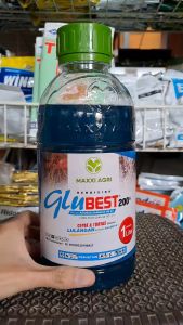 GLUBEST 200 SL HERBISIDA PENGENDALI RUMPUT GULMA 1 LITER MAXXI AGRI