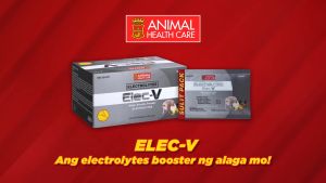 12 Packs Elec-V Sachet (6g): A Convenient Solution for Dehydration & Electrolyte Balance
