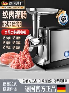 Electric Stainless Steel Meat Grinder Home Use Small Multi-Function Automatic Sausage Maker Commercial Grade Meat Chopper